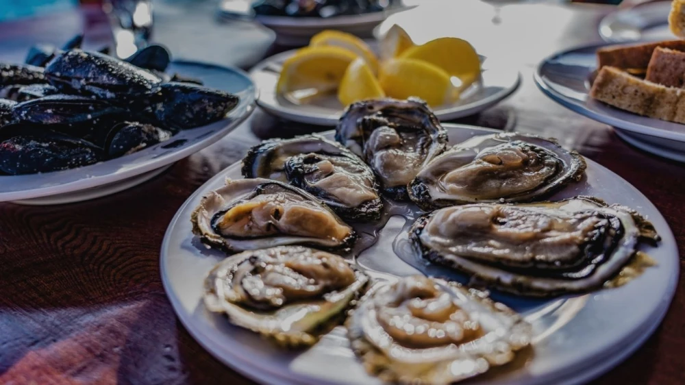 DISCOVER THE CULINARY CRUISES